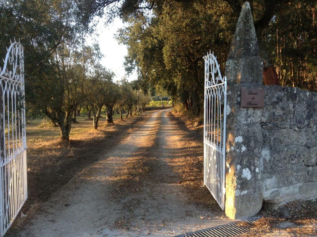 Quinta Do Bravio Villa Barroselas Exterior foto